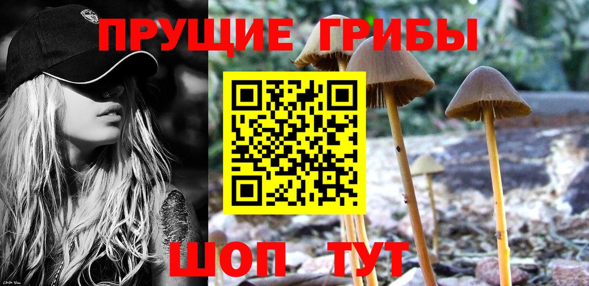 Галлюциногенные грибы ЛСД  Вход с VPN  Галлюциногенные грибы MAGIC MUSHROOMS  продажа наркотиков  Богородск 