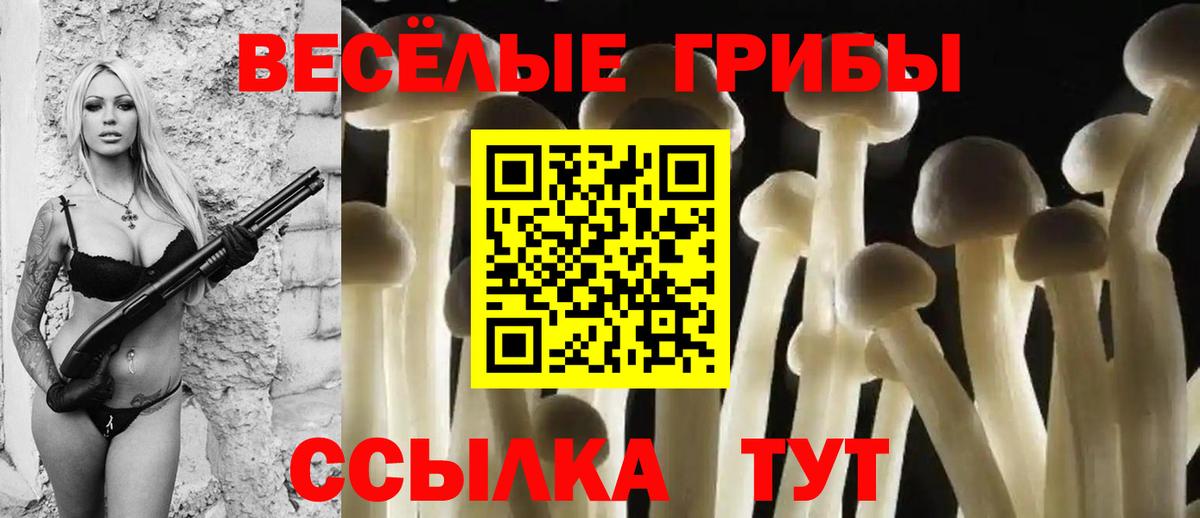 Галлюциногенные грибы Cubensis Богородск